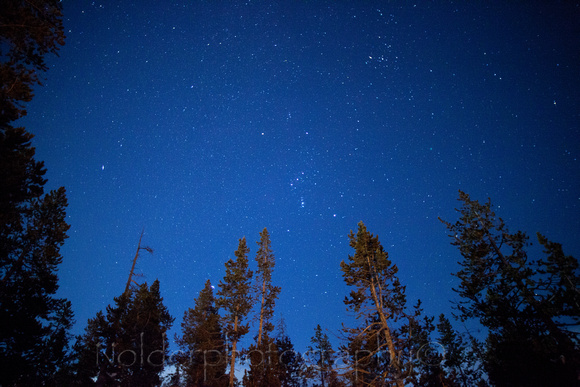 Orion , Yellowstone National Park