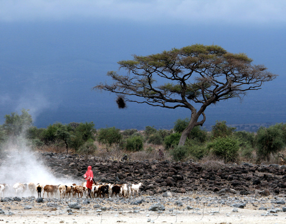 Masai Storm