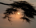 Ngorongora Sunrise