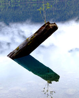 Reflection, Olympic National Park , Washington State