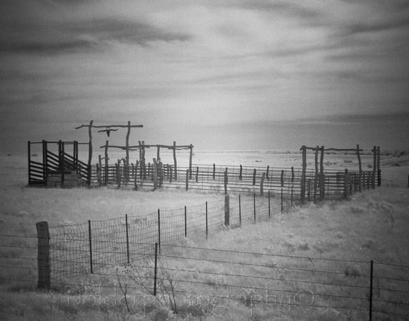 Fence Line, Kansas