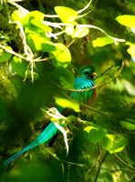 QUETZAL