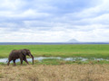 Taragire National Park, Tanzania