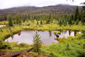 Rocky Mountain National Park, Colorado