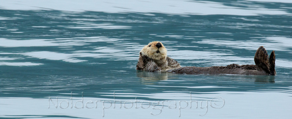 Kenia Fjords National Park, Alaska