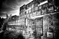 Ennis house black and white