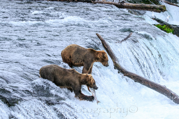 Katmai National Park, Alaska