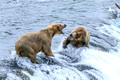 Katmai National Park, Alaska