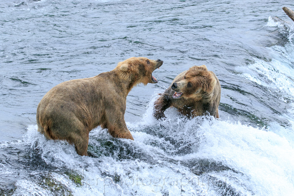 Katmai National Park, Alaska
