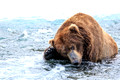 Katmai National Park, Alaska