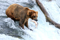 Katmai National Park, Alaska