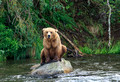 Katmai National Park, Alaska