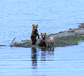 Katmai National Park, Alaska