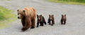 Katmai National Park, Alaska