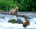 Katmai National Park, Alaska