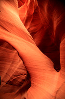ARIZONA