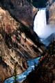 Lower Falls, Yellowstone National Park