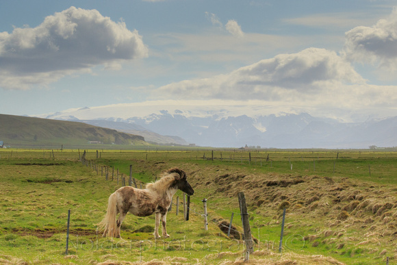 Iceland