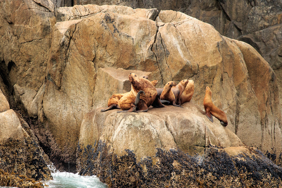 Kenia Fjords National Park, Alaska