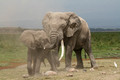 Amboseli National Park, Kenya