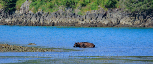 Kenia Fjords National Park, Alaska