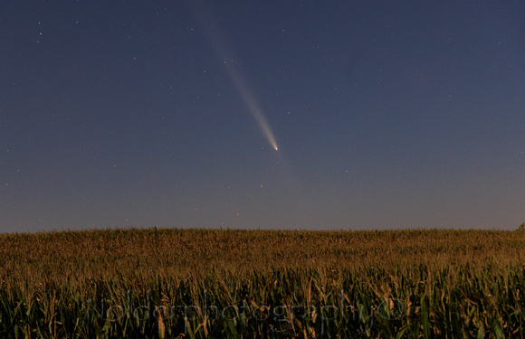 Comet Tsuchinshan-ATLAS Oct 2024